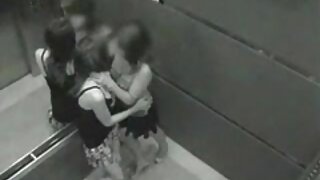 حیرت انگیز بوسٹی سنہ ...