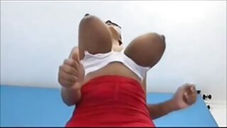 یار مال غنیمت بیب لن ...