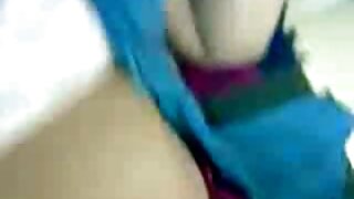 خوبصورت بلی کے جوڑے  ...