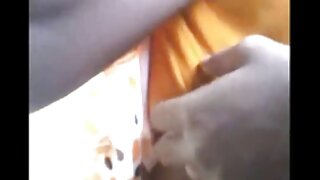 تجربہ کار کاک رائڈر  ...